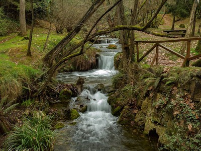 Área Natural De Especial Interés De La Viesca