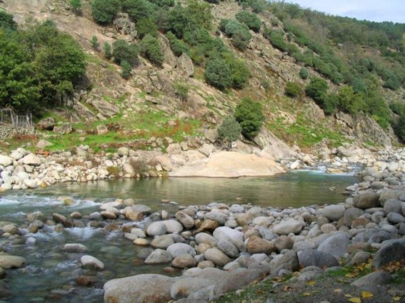 Charco Natural El Palomas