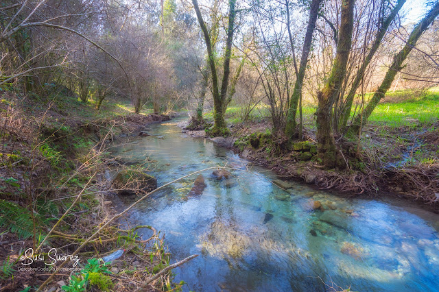 Fervenza No Río Miñor