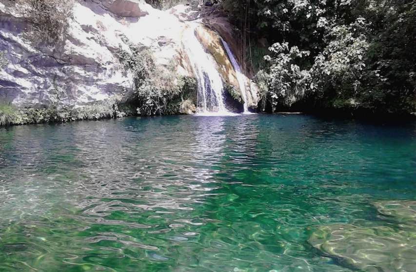 Gorg Blau