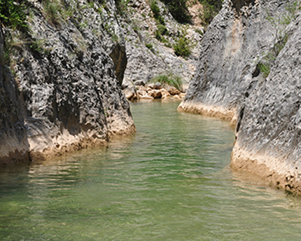 La Gorga De Boltaña Pozas