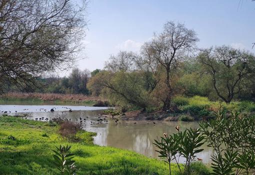 Laguna De Fuente Del Rey