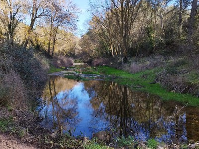 Llac De Formigosa