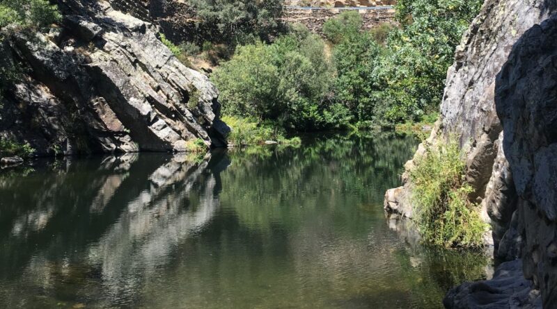 Nacimiento De Riofrío