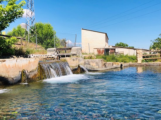 Nacimiento Del Río Arbuniel