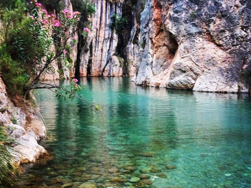 Parque Natural El Saler