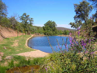 Piscina Natural "La Naciente"