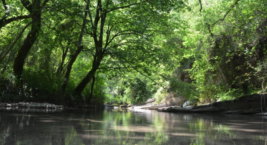 Pozas Del Río Herrerías