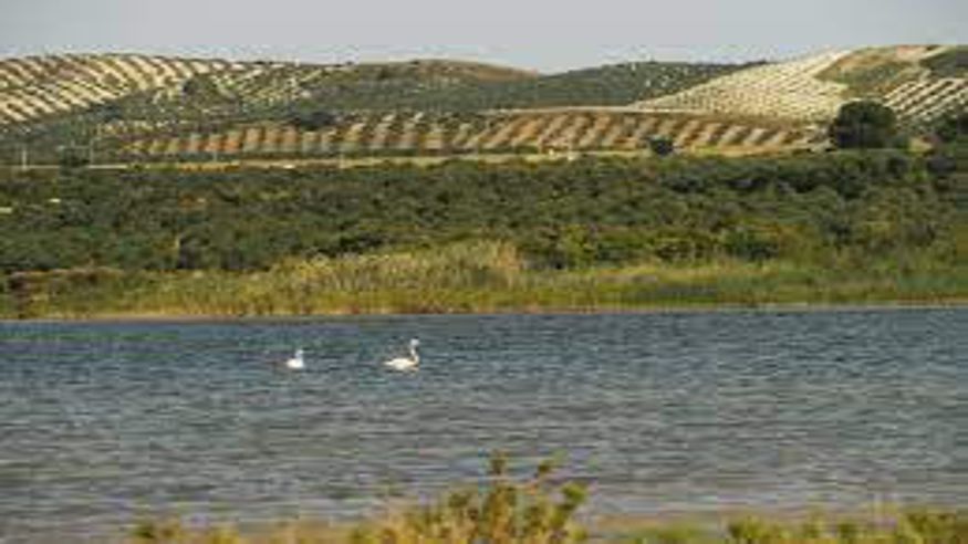 Reserva Natural Laguna Del Gosque