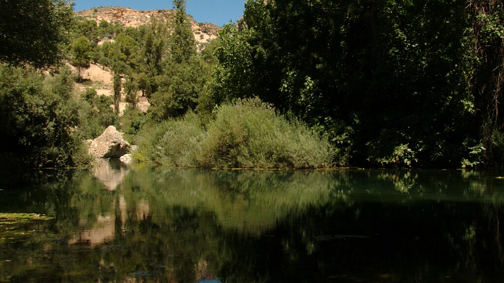 Rio Guadalentin (Peralta)